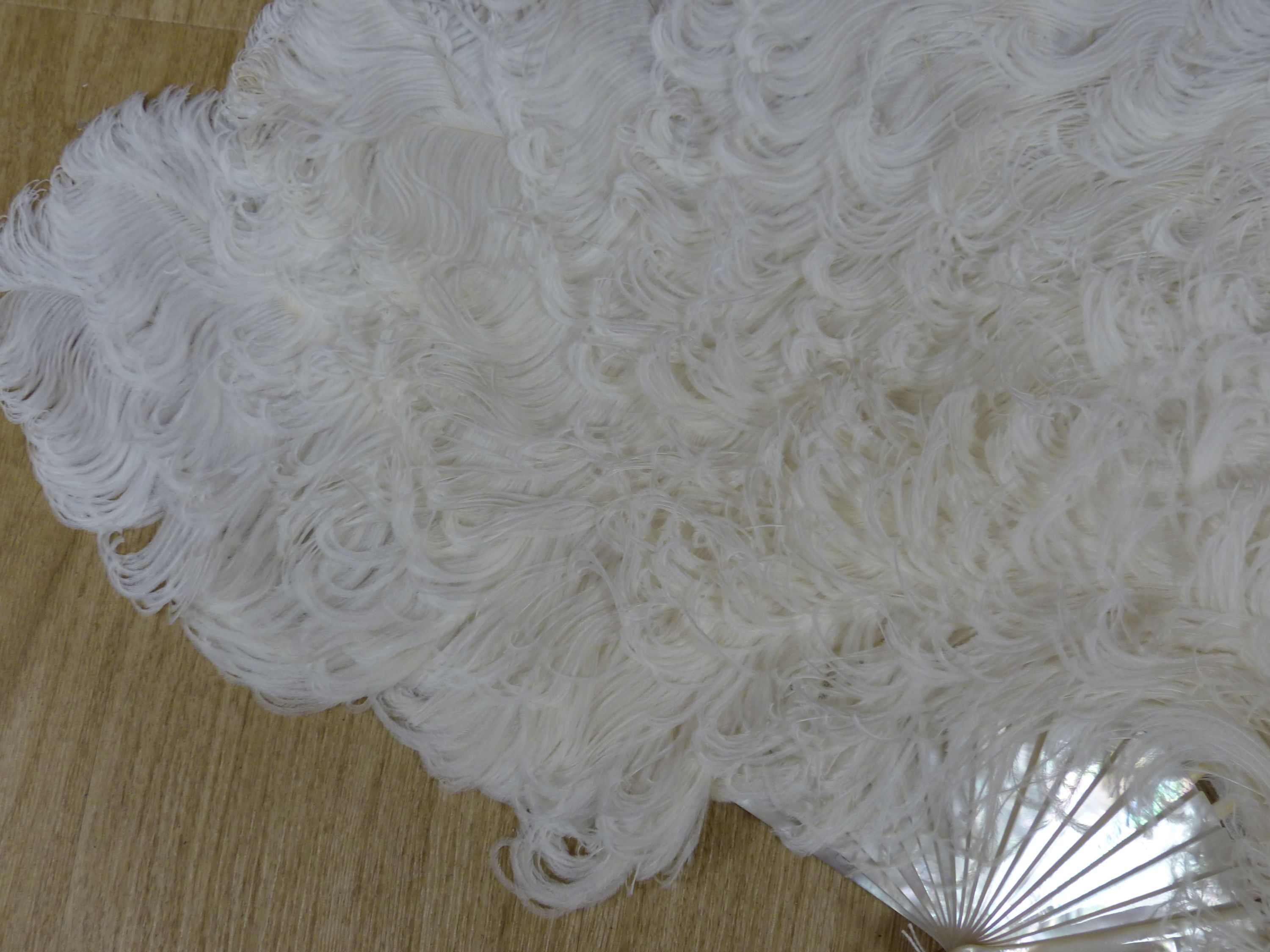 A boxed Duvelleroy ostrich feather fan, early 20th century